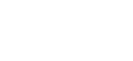 ایوولوشن گیمنگ logo